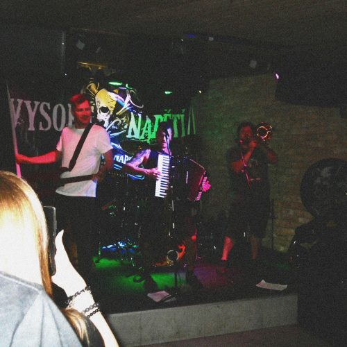 Vysoké napětí (CZ) @Včelín, Martin